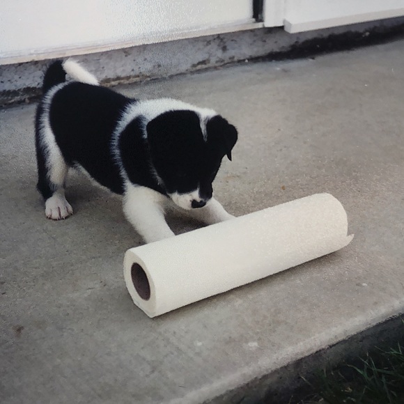 get to know me and my shop :) - Picture 2 of 12